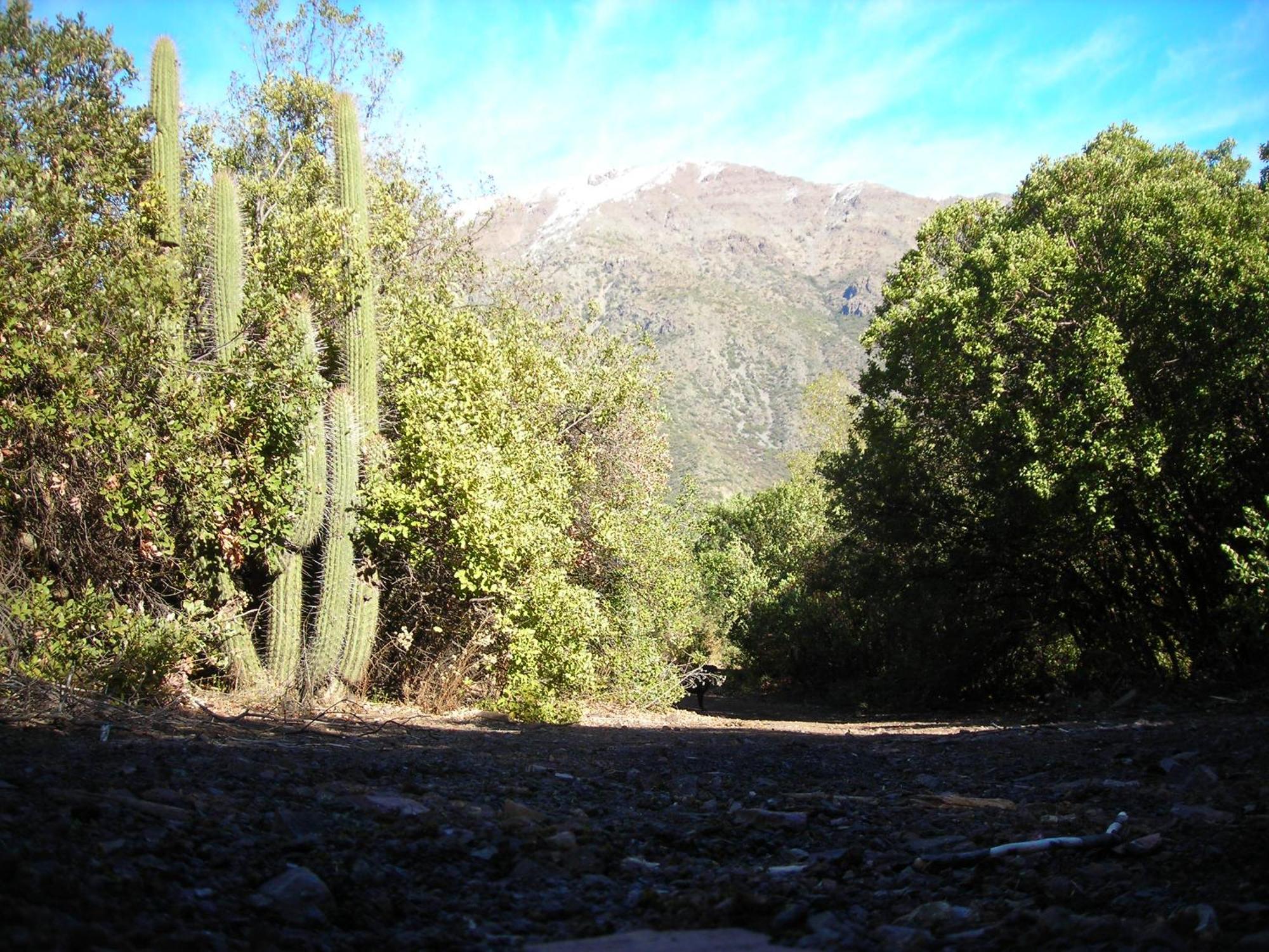 Las Lomitas De Guayacan, Cabanas Y Spa San Jose de Maipo Luaran gambar